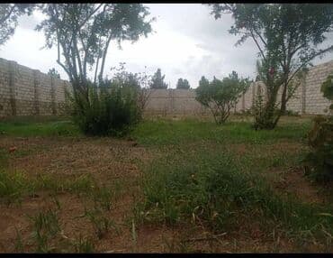 xacmazda torpaq satilir 2021: 6 sot, Tikinti, Makler, Kupça (Çıxarış) — 2