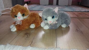 сколько стоит лабубу в баку: Pişik yumşaq oyuncağı.
 2si birgə 14 azn.
Ünvan: Sumqayıt 8mk — 4