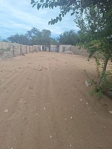 nardaran torpaq: 6 sot, Kupça (Çıxarış) — 8