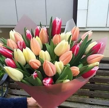 geran gul: M, sarı) və qarışıq rəng kombinasiyaları. - Sıx və həcimli — 3