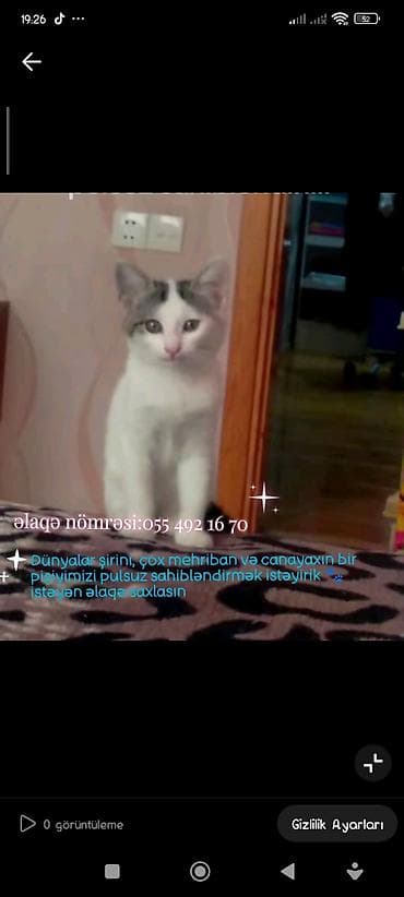 Yaxşı əllərə — 1
