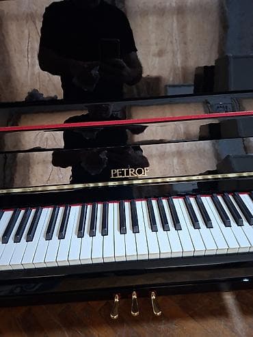 Piano, Petrof, Akustik, Yeni, Pulsuz çatdırılma — 3