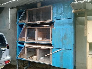 Satıram kredit olar dəyişmək olar lalafo.az -da Satıram kredit olar dəyişmək olar