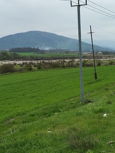 yeni suraxani torpaq satilir: Tikinti — 1