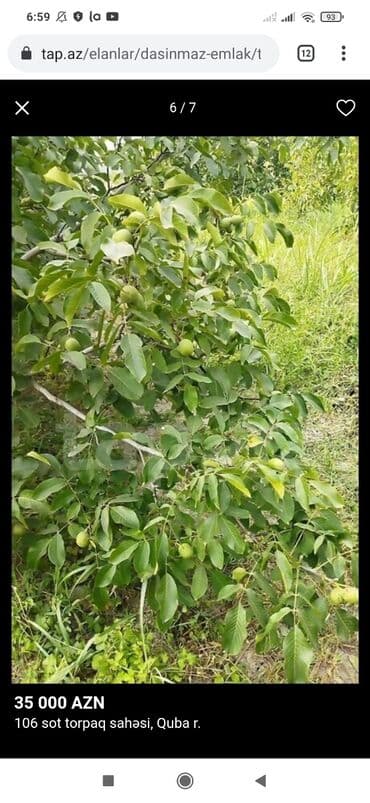 lalafo долгосрочная аренда квартир: 106 sot, Mülkiyyətçi, Kupça (Çıxarış) — 3