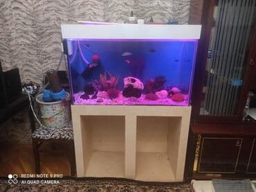 SİM-kartlar: Dördbucaq akvarium, 350 l, Ünvandan götürmə, Ödənişli çatdırılma — 6