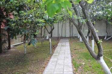 kirayə evlər 2022 bakı: Novxanıda əsas yoldan təxminən 60 metr məsafədə 17 sot torpaq — 17