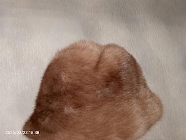 Norka xəz papaq - Model: klassik dairəvi kəsim, yumşaq aşağı enişli