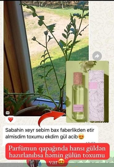 Məhsul: “FLAVERS” ətir və toxum dəsti - Şüşə: şəffaf, zərif dizayn — 1
