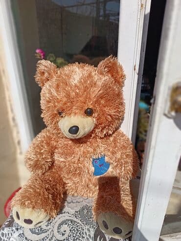 шпионский набор для детей: Yekə Mişka, ayı 
Ayıcık. Sumqayıt. Nasosnu — 2