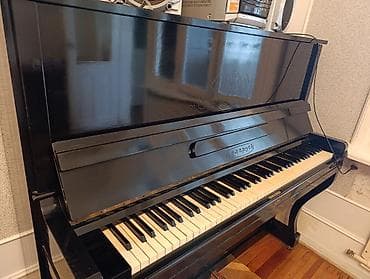 Piano, Belarus, Akustik