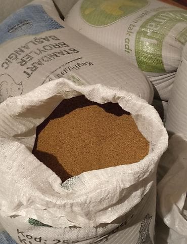 istixana satilir: Yonca toxumu satılır. enliyarpaq çoxillik yoncadı. çıxışa cavabdehəm — 1