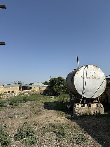suraxanıda torpaq satılır: Kənd təsərrüfatı — 4