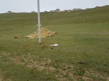 bine atcılıq: 70 sot — 2
