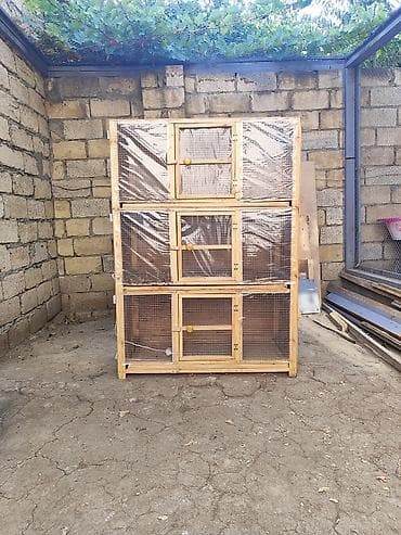 Инкубаторы: 3 mərtəbəli, taxta karkaslı broyler balaların böyüdülməsi üçün — 1