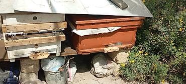 Arıçılıq üçün taxta arı pətəyi - Material: qalın taxta, ön hissədə