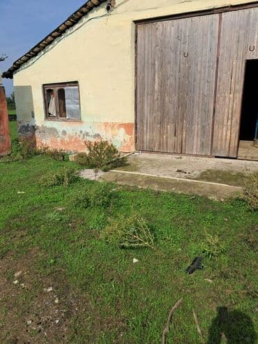 bağ evi satışı: Kənd təsərrüfatı — 15