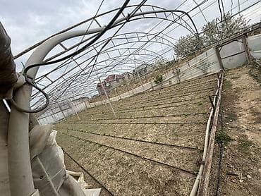 ev qap: İstixana kompleksi – dam örtüyü karkaslı, tam işlək əkin sahələri və — 3