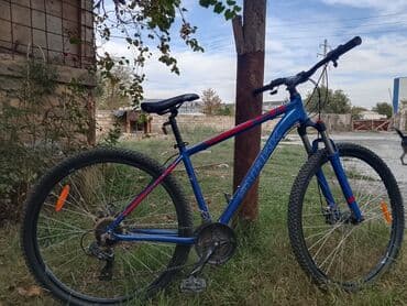 İşlənmiş Dağ velosipedi Stark, 29", sürətlərin sayı: 7, Ünvandan götürmə