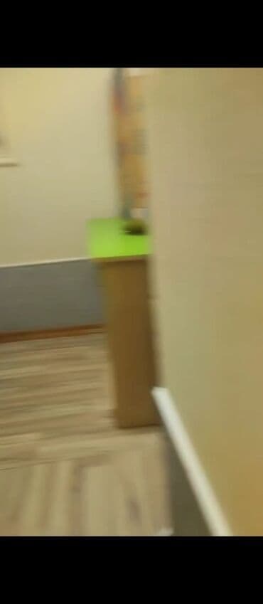 kend bineqedide kiraye evler: 3 kv. m, 3 otaqlı, Qaz, İşıq, Su — 5