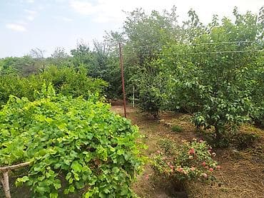 kapsula evler: Xaçmaz, 240 kv. m, 8 otaq, Hovuzsuz, Kombi, Qaz, İşıq — 3