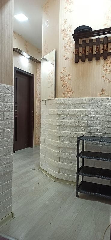 Kirayə mənzillər: Geniş və işıqlı zal və yataq otağı olan mənzil icarəyə/istifadəyə — 10