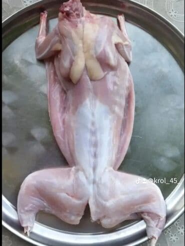 dovşan balaları: Məhsul: Təmizlənmiş dovşan cəmdəkləri Təsvir: - Şəkillərdə tam — 6