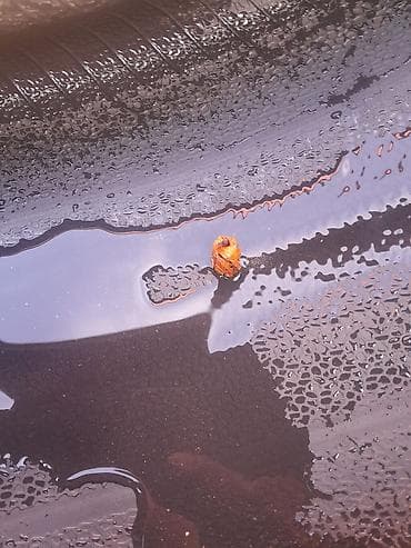 Yağlar və avtokimyəvi maddələr: İşlənmiş Şin Pirelli 275 / 35 / R 20 — 3