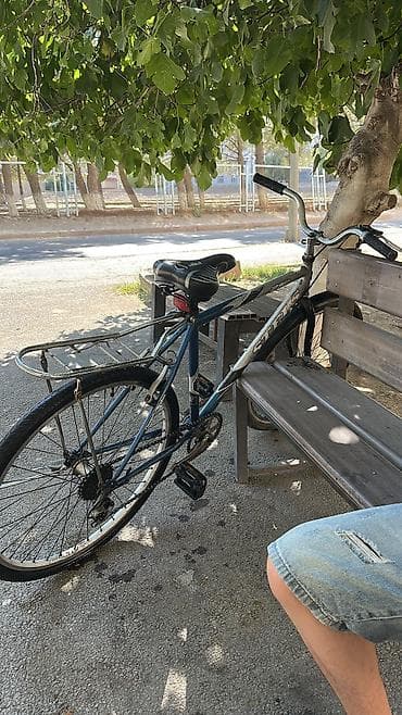 sibog velosiped: Şəhər/trek tipli velosiped – Stels 270 (yazısı kadra üzərində görünür) — 3