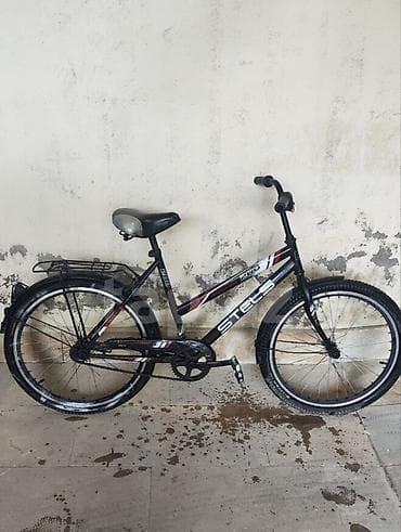 velosiped 26 saft: İşlənmiş İki təkərli Uşaq velosipedi Stels, 24" — 3