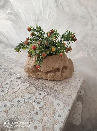 süni gül satışı: Çaytikanı kolu — 1