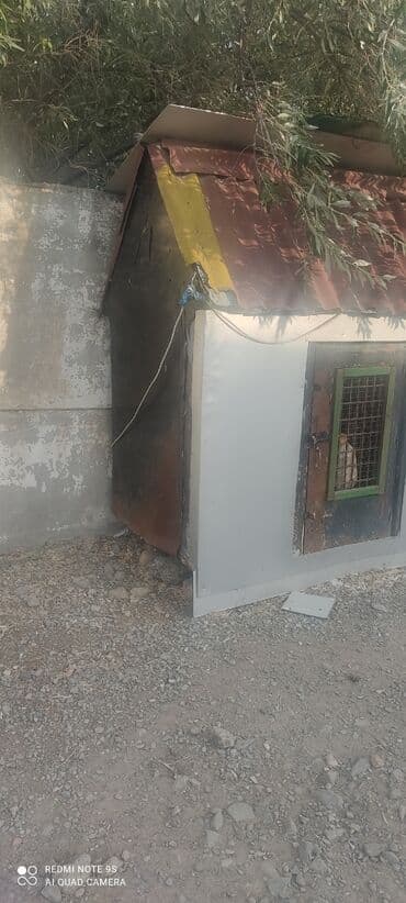 it yuvasi satilir: Quşxana Satlır — 3