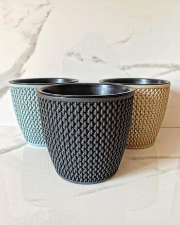 Уличные растения: Dipçəklər plasmas ela yeni 15 sm hündürlük 3 rəngi var yanlız birnin — 1