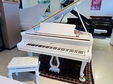 qəpik pullar: Ritmuller (1795) vaxtilə Almaniyada yaradılmış ilk piano — 1