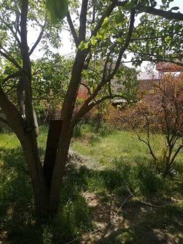 şirvanda satilan torpaqlar: 4 sot, Tikinti — 6