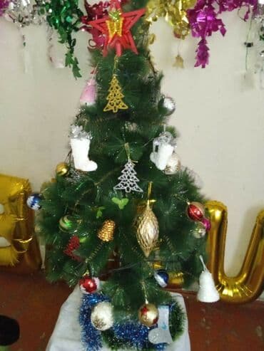 Göz muncuğu: Yolka yeni kimidi. Heç bir problemi yoxdur. Bravodan 65 manata alınıb — 3