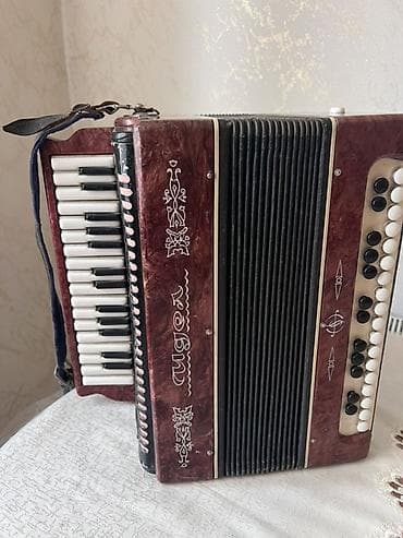 Musiqi alətləri: MUSİQİ ALƏTİ: Qarmon/akkordeon - Korpus: qırmızı-mərmər teksturalı — 4