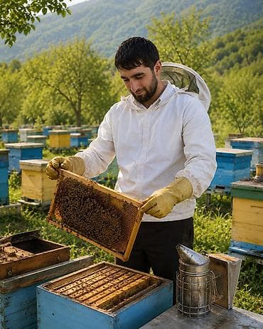 drellerin satisi: 🍯 TƏBİİ DAĞ BALI SATILIR! 🍯 🌼 100% təbii, saf və keyfiyyətli bal 🐝 Öz — 3