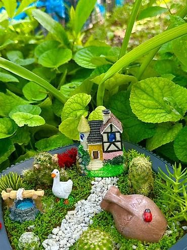 quru odun: Miniatür sukulent/teraryum kompozisiyası – “Bağ evciyi” mövzulu - — 3
