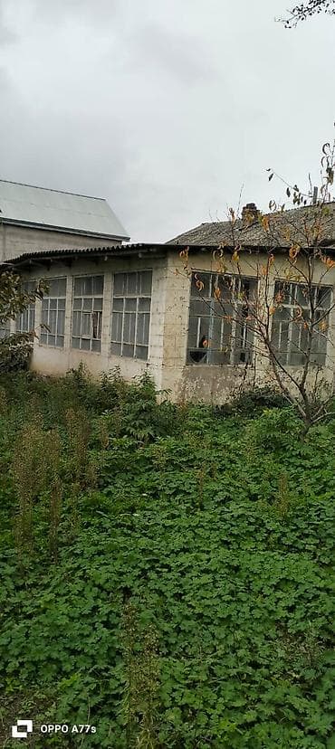 şaftali bagi: 19 sot, Kənd təsərrüfatı, Mülkiyyətçi, Kupça (Çıxarış) — 4