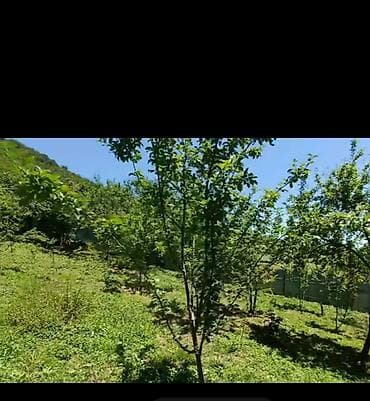 sumqayıtda torpaq: 4 sot, Tikinti, Mülkiyyətçi, Kupça (Çıxarış) — 6