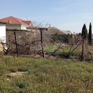 qaracuxurda: 16 sot, Tikinti, Mülkiyyətçi, Kupça (Çıxarış) — 17