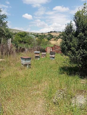 Arıxana və arıçılıq avadanlıqları dəsti Məhsulun tərkibi: - 10+ ədəd — 2