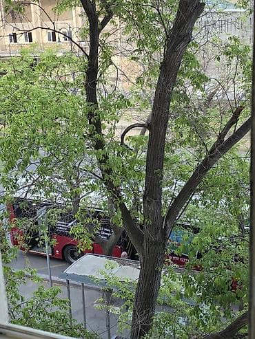 kiraye e: - Pəncərədən əsas yola və avtobus dayanacağına birbaşa baxış ictimai — 1