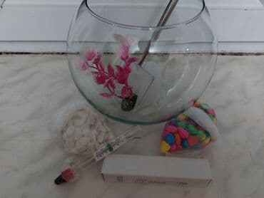 akvaryum balıkları: 2lt akvarium+termometr su üçün+rengli daş+ağ daş+baliği tutmaq ücün — 1