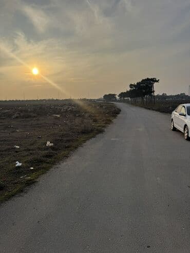 torpax sahesi: 100 sot, Biznes üçün, Makler, Kupça (Çıxarış), Texniki pasport — 4