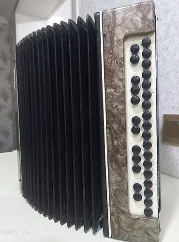 akardion: Akustik Akkordeon — 2