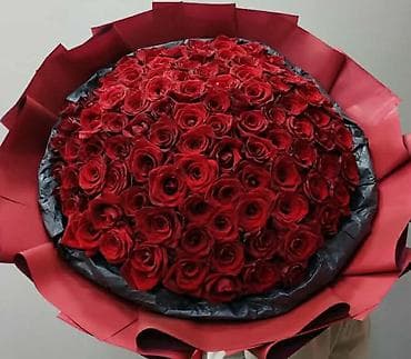 gecə gunduz gulu: Anthurium (Alov çiçəyi) otaq bitkisi və dekorativ gül kompozisiyaları — 9