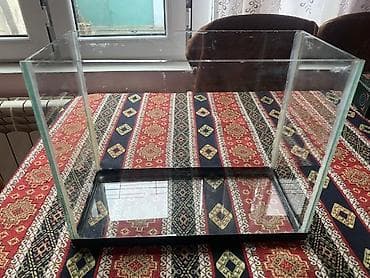 filter akvarium: Dördbucaq akvarium, Boş, 15 l, Ünvandan götürmə, Pulsuz çatdırılma — 1