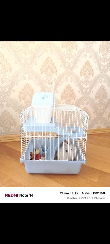 Hamster üçün iki mərtəbəli qəfəs hamsterle birlikde satilir - Rəng — 2